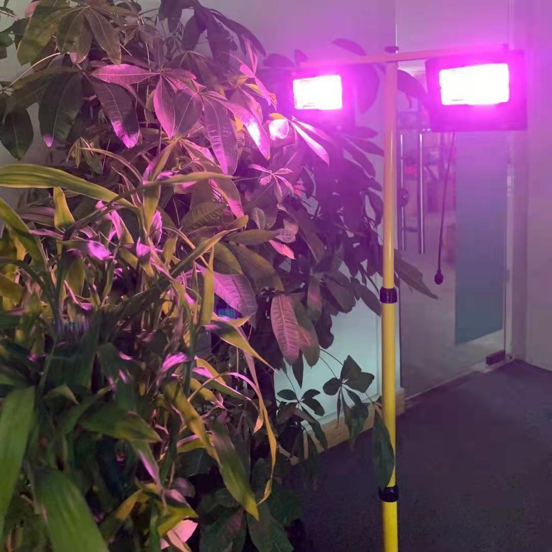 Солнечная лампа для растений,  – обзор и цена Outdoor Power And Plant
